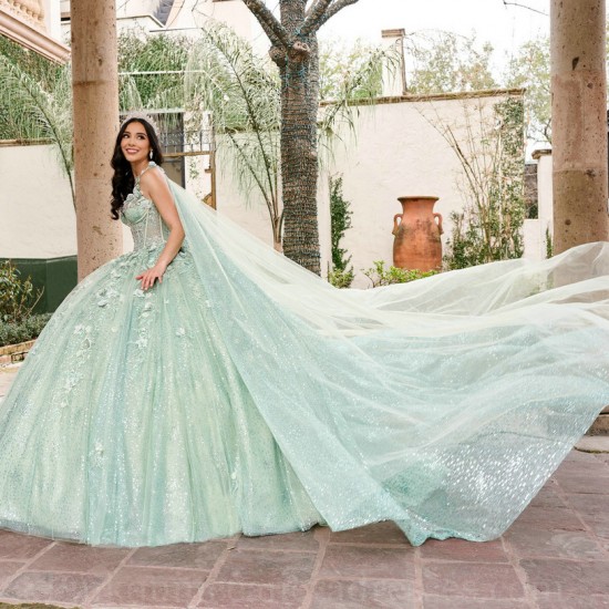 Sleeveless Sage Green Quinceanera Dress Sweet 15 Gowns Lace Appliques Wear Pageant V Neck 2024 Ball Gown Princess Dresses With 3D Flowers