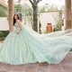 Sleeveless Sage Green Quinceanera Dress Sweet 15 Gowns Lace Appliques Wear Pageant V Neck 2024 Ball Gown Princess Dresses With 3D Flowers