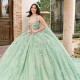 Sleeveless Sage Green Quinceanera Dress Sweet 15 Gowns Lace Appliques Wear Pageant V Neck 2024 Ball Gown Princess Dresses With 3D Flowers