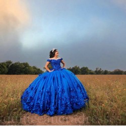 Sweetheart Neck Blue Quince Dress Girls Sweet 16 Dresses Lace Appliques 2024 Wear Pageant Off Shoulder Vestidos De 15 Anos