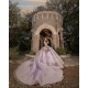 Long Sleeve Lilac Quinceanera Dress Sweet 15 Gowns Lace Appliques Wear Pageant Sweetheart Neck 2024 Ball Gown Princess Dresses