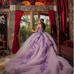 Long Sleeve Lilac Quinceanera Dress Sweet 15 Gowns Lace Appliques Wear Pageant Sweetheart Neck 2024 Ball Gown Princess Dresses