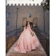 Long Sleeve Pink Quinceanera Dress Vestidos De 15 Anos Girls Sweet 16 Dresses Lace Appliques 2024 Wear Pageant