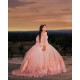 Long Sleeve Pink Quinceanera Dress Vestidos De 15 Anos Girls Sweet 16 Dresses Lace Appliques 2024 Wear Pageant