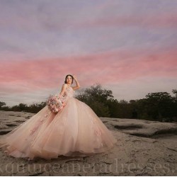 Pink Quinceanera Dress Sleeveless Sweet 15 Gowns Lace Appliques Wear Pageant Sweetheart Neck 2024 Ball Gown Princess Dresses