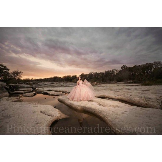 Pink Quinceanera Dress Sleeveless Sweet 15 Gowns Lace Appliques Wear Pageant Sweetheart Neck 2024 Ball Gown Princess Dresses