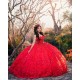 Sleeveless Red Quince Dress Wear Pageant Sweetheart Neck Sweet 15 Gowns 3D Flowers Birthday Party Dresses