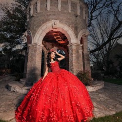 Sleeveless Red Quince Dress Wear Pageant Sweetheart Neck Sweet 15 Gowns 3D Flowers Birthday Party Dresses