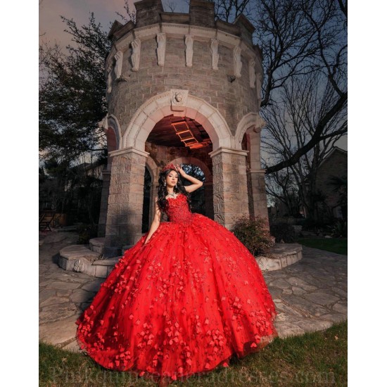 Sleeveless Red Quince Dress Wear Pageant Sweetheart Neck Sweet 15 Gowns 3D Flowers Birthday Party Dresses