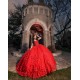 Sleeveless Red Quince Dress Wear Pageant Sweetheart Neck Sweet 15 Gowns 3D Flowers Birthday Party Dresses