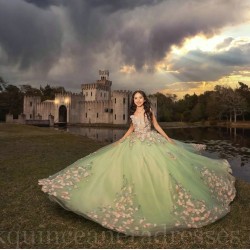 Sleeveless Sage Green Quinceanera Dress Lace Appliques Wear Pageant Sweet 15 Gowns Sweetheart Neck Birthday Party Dresses With 3D Flowers