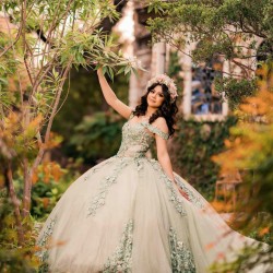 Sweetheart Neck Sage Green Quinceanera Dress Girls Sweet 16 Dresses Lace Appliques 2024 Wear Pageant Off Shoulder Vestidos De 15 Anos