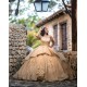 Gold Quinceanera Dress 3D Flowers Sequin Vestidos De 15 Anos Wear Pageant Sweetheart Neck Girls Sweet 16 Dresses