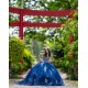 Navy Blue Quinceanera Dress Lace Appliques Off Shoulder Vestidos De 15 Anos Wear Pageant Sweetheart Neck Girls Sweet 16 Dresses