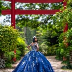 Navy Blue Quinceanera Dress Lace Appliques Off Shoulder Vestidos De 15 Anos Wear Pageant Sweetheart Neck Girls Sweet 16 Dresses