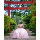 Off Shoulder Vestidos De 15 Anos Pink Quinceanera Dress Sweetheart Neck Girls Sweet 16 Dresses Sequin Wear Pageant