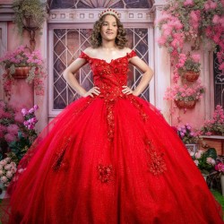 Red Quinceanera Dress Sweetheart Neck Girls Sweet 16 Dresses Off Shoulder Vestidos De 15 Anos Lace Appliques Instagram Gowns